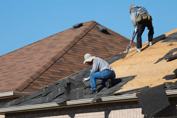 Best Roof Moss and Algae Removal  in Pima, AZ