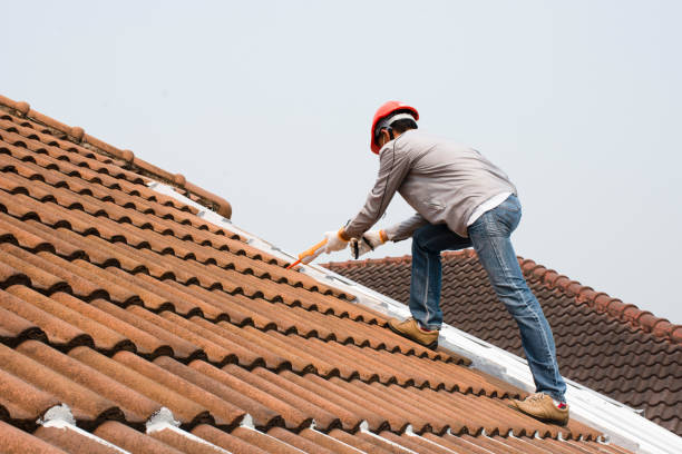 Best Tile Roofing Installation  in Pima, AZ